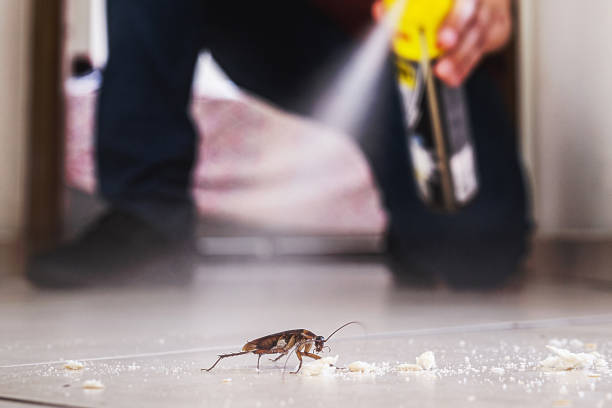 Best Pest Prevention Services  in Gilbertsville, PA