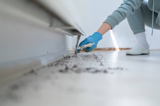 Best Pest Control Near Me in Gilbertsville, PA